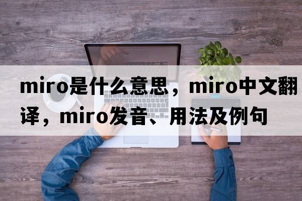 Miro是什么意思，Miro中文翻譯，Miro發(fā)音、用法及例句