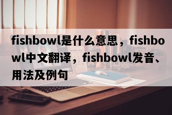 fishbowl是什么意思，fishbowl中文翻譯，fishbowl發(fā)音、用法及例句