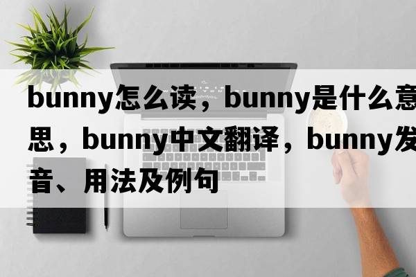bunny怎么讀，bunny是什么意思，bunny中文翻譯，bunny發(fā)音、用法及例句