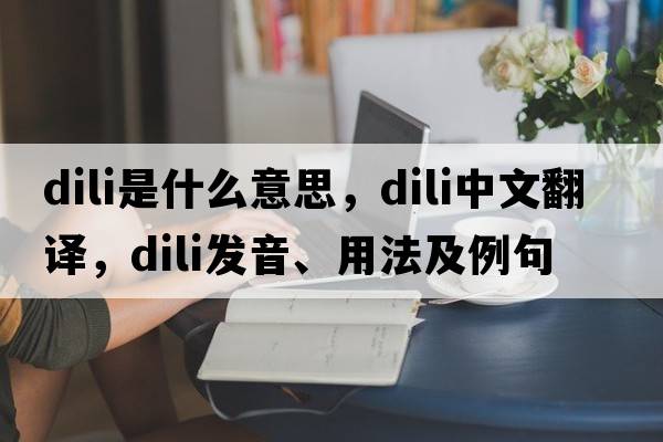 dili是什么意思，dili中文翻譯，dili發(fā)音、用法及例句