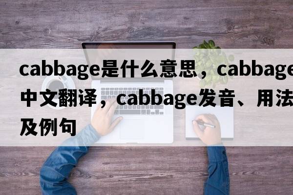 cabbage是什么意思，cabbage中文翻譯，cabbage發(fā)音、用法及例句