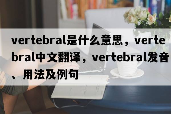 vertebral是什么意思，vertebral中文翻譯，vertebral發(fā)音、用法及例句