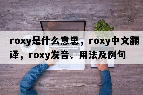 ROXY是什么意思，ROXY中文翻譯，ROXY發(fā)音、用法及例句