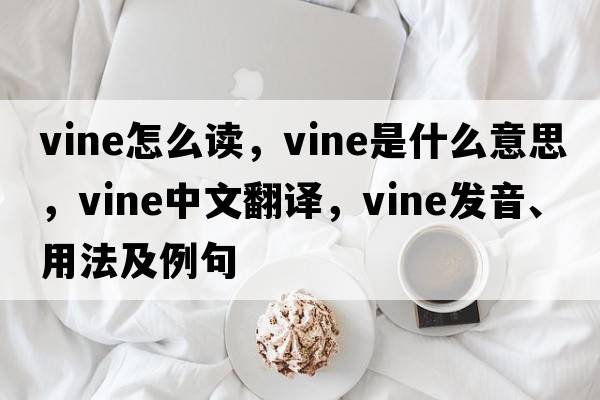 vine怎么讀，vine是什么意思，vine中文翻譯，vine發(fā)音、用法及例句
