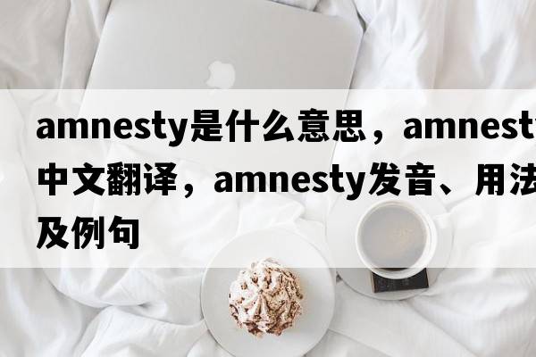 amnesty是什么意思，amnesty中文翻譯，amnesty發(fā)音、用法及例句