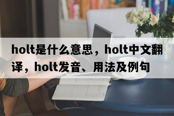 holt是什么意思，holt中文翻譯，holt發(fā)音、用法及例句