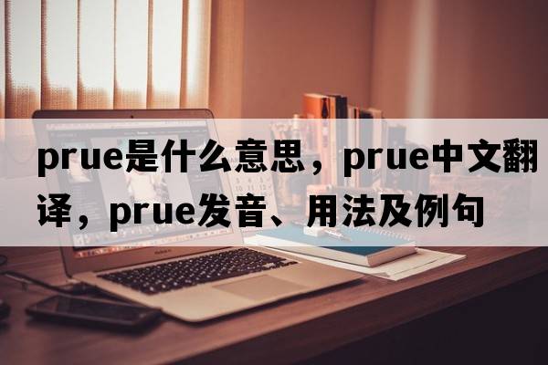 Prue是什么意思，Prue中文翻譯，Prue發(fā)音、用法及例句