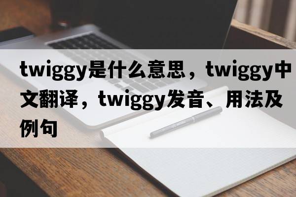 twiggy是什么意思，twiggy中文翻譯，twiggy發(fā)音、用法及例句