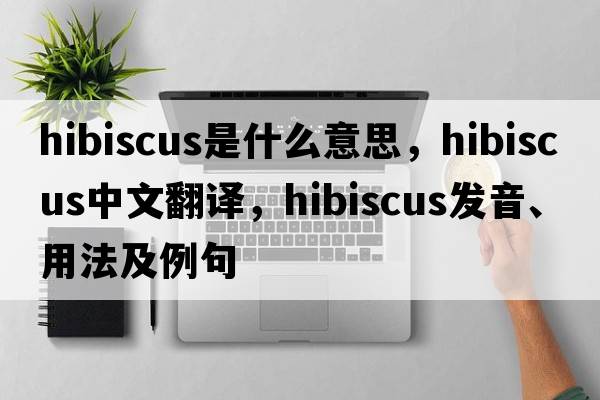 hibiscus是什么意思，hibiscus中文翻譯，hibiscus發(fā)音、用法及例句