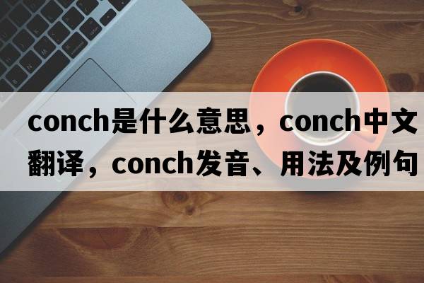 conch是什么意思，conch中文翻譯，conch發(fā)音、用法及例句