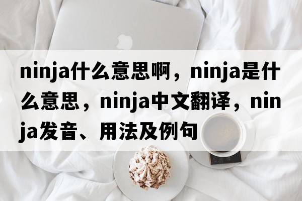 ninja什么意思啊，ninja是什么意思，ninja中文翻譯，ninja發(fā)音、用法及例句