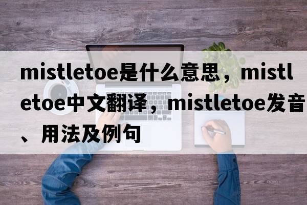 mistletoe是什么意思，mistletoe中文翻譯，mistletoe發(fā)音、用法及例句