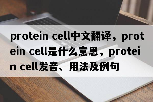 protein cell中文翻譯，protein cell是什么意思，protein cell發(fā)音、用法及例句
