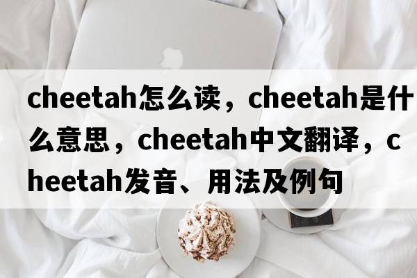 cheetah怎么讀，cheetah是什么意思，cheetah中文翻譯，cheetah發(fā)音、用法及例句