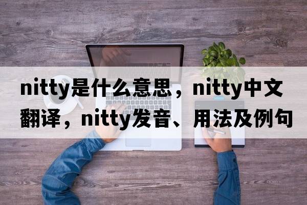 nitty是什么意思，nitty中文翻譯，nitty發(fā)音、用法及例句