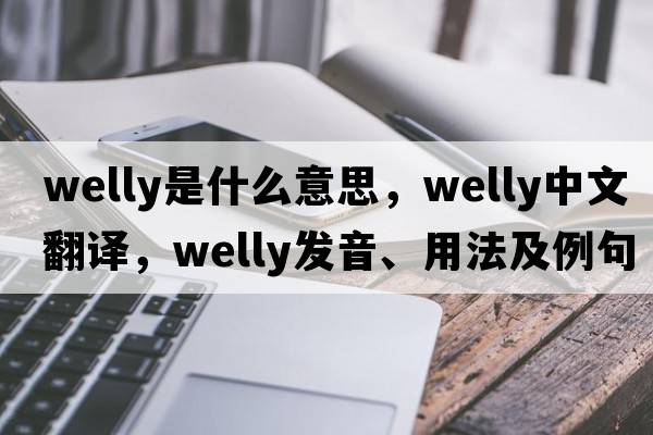 welly是什么意思，welly中文翻譯，welly發(fā)音、用法及例句