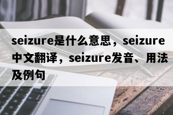 seizure是什么意思，seizure中文翻譯，seizure發(fā)音、用法及例句
