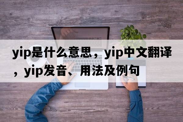 yip是什么意思，yip中文翻譯，yip發(fā)音、用法及例句