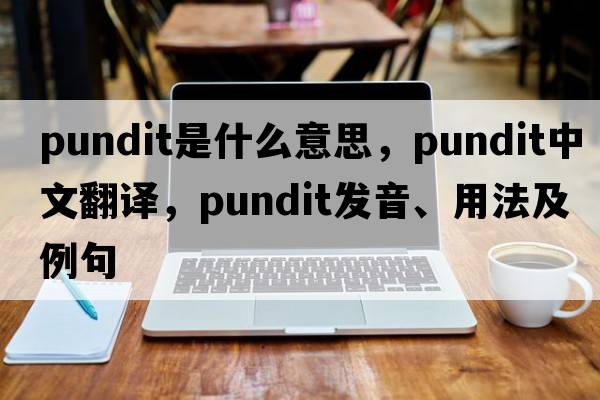 pundit是什么意思，pundit中文翻譯，pundit發(fā)音、用法及例句