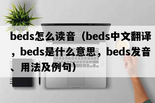 beds怎么讀音（beds中文翻譯，beds是什么意思，beds發(fā)音、用法及例句）