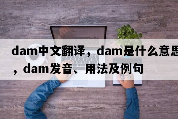dam中文翻譯，dam是什么意思，dam發(fā)音、用法及例句