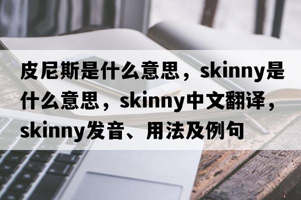 皮尼斯是什么意思，skinny是什么意思，skinny中文翻譯，skinny發(fā)音、用法及例句