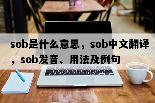 sob是什么意思，sob中文翻譯，sob發(fā)音、用法及例句