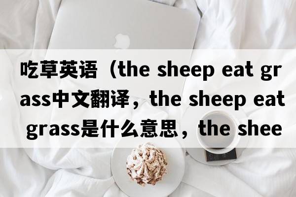 吃草英語(yǔ)（the sheep eat grass中文翻譯，the sheep eat grass是什么意思，the sheep eat grass發(fā)音、用法及例句）