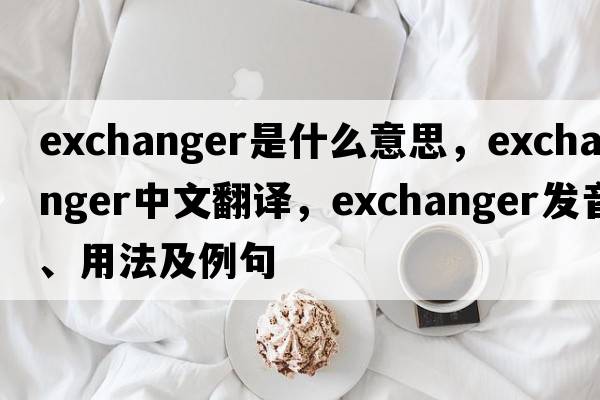 exchanger是什么意思，exchanger中文翻譯，exchanger發(fā)音、用法及例句