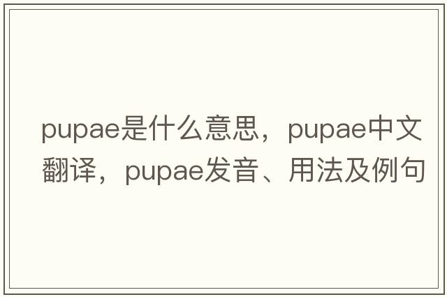pupae是什么意思，pupae中文翻譯，pupae發(fā)音、用法及例句
