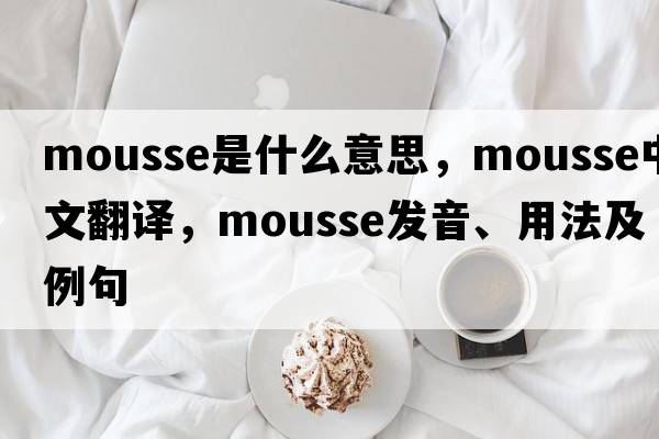 mousse是什么意思，mousse中文翻譯，mousse發(fā)音、用法及例句
