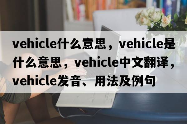 vehicle什么意思，vehicle是什么意思，vehicle中文翻譯，vehicle發(fā)音、用法及例句