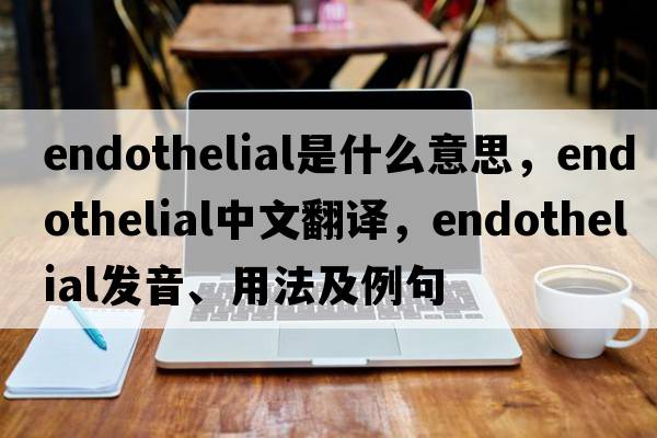 endothelial是什么意思，endothelial中文翻譯，endothelial發(fā)音、用法及例句