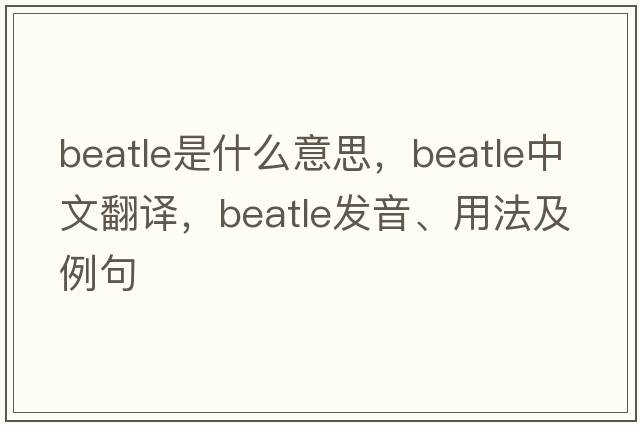 Beatle是什么意思，Beatle中文翻譯，Beatle發(fā)音、用法及例句