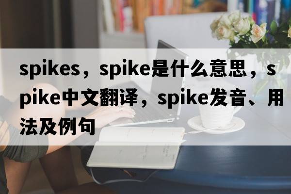 spikes，spike是什么意思，spike中文翻譯，spike發(fā)音、用法及例句