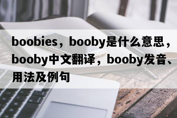 boobies，booby是什么意思，booby中文翻譯，booby發(fā)音、用法及例句