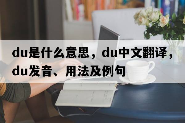 du是什么意思，du中文翻譯，du發(fā)音、用法及例句