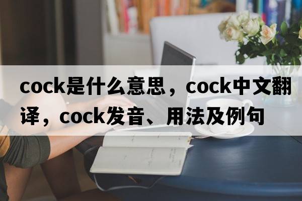 cock是什么意思，cock中文翻譯，cock發(fā)音、用法及例句