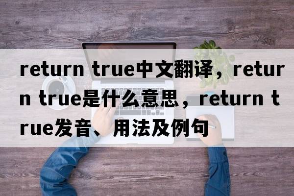 return true中文翻譯，return true是什么意思，return true發(fā)音、用法及例句