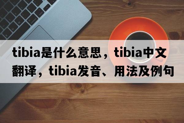 tibia是什么意思，tibia中文翻譯，tibia發(fā)音、用法及例句