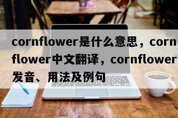 cornflower是什么意思，cornflower中文翻譯，cornflower發(fā)音、用法及例句