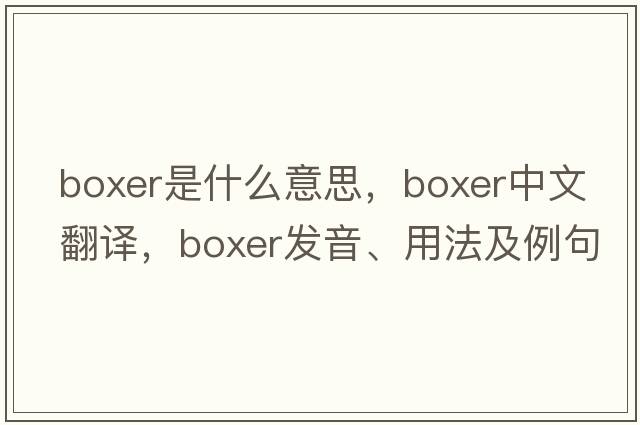 boxer是什么意思，boxer中文翻譯，boxer發(fā)音、用法及例句