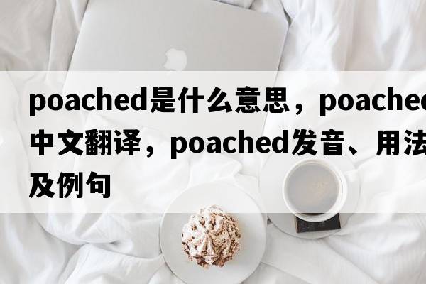poached是什么意思，poached中文翻譯，poached發(fā)音、用法及例句