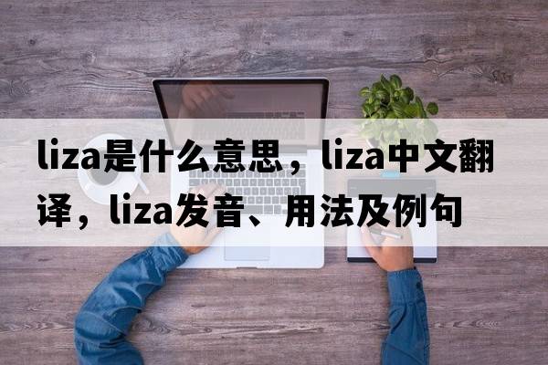 LIZA是什么意思，LIZA中文翻譯，LIZA發(fā)音、用法及例句