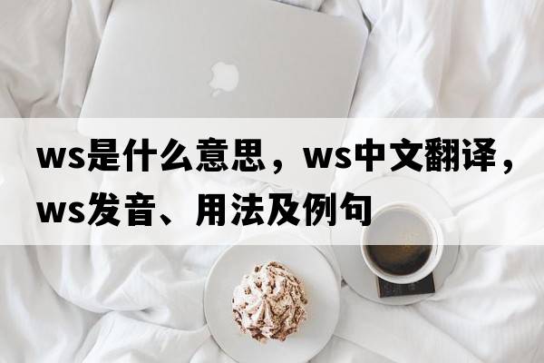 WS是什么意思，WS中文翻譯，WS發(fā)音、用法及例句