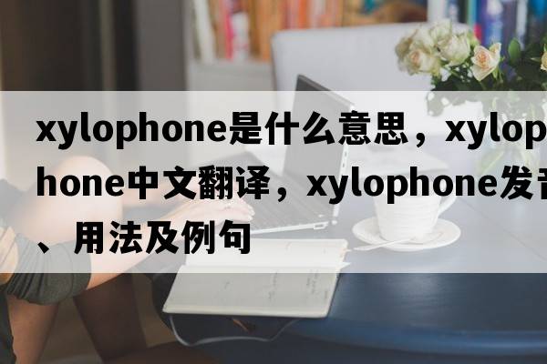 xylophone是什么意思，xylophone中文翻譯，xylophone發(fā)音、用法及例句
