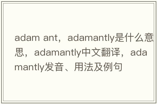 adam ant，adamantly是什么意思，adamantly中文翻譯，adamantly發(fā)音、用法及例句