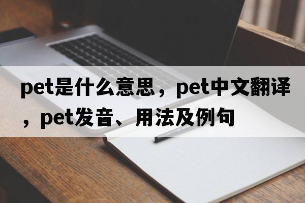 pet是什么意思，pet中文翻譯，pet發(fā)音、用法及例句
