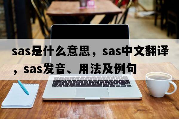 SAS是什么意思，SAS中文翻譯，SAS發(fā)音、用法及例句