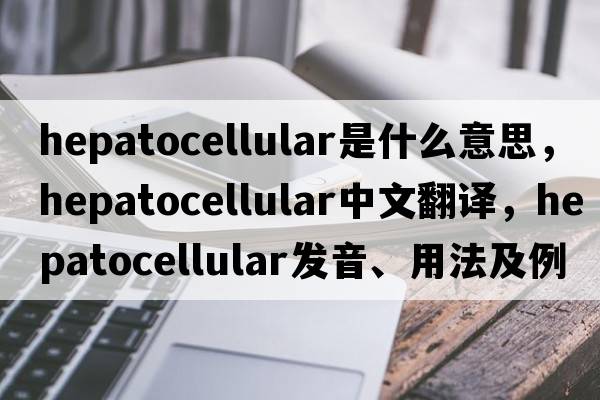 hepatocellular是什么意思，hepatocellular中文翻譯，hepatocellular發(fā)音、用法及例句
